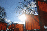 The Gates in Central Park