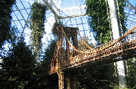 Trains at the NY Botanical Gardens