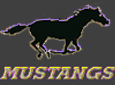 Calgary Mustangs